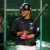 日ハム大王の1年目成績予想 	