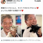 新・社会毒の変