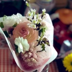 Vivid Color Lollipop