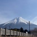 朝霧ツアーのお知らせ