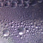 独女の気ままな隠居ライフ