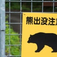 【馬鹿】役所「クマに出くわした場合は2mまで近づいて弱装弾で撃ち殺してね」