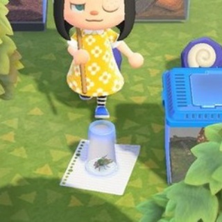 顕微鏡で見たハエさん、完全にラスボスと化す