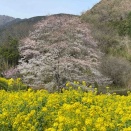 小さなお店を辞めてもうすぐ3年