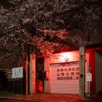 （ ﾟ毒ﾟ）< しんどい。