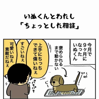 いぬくんとわたし【ちょっとした相談】