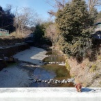 合気道月光流道場長・チョコ助と伊東健治の公式ブログ　「骸(むくろ)をつけていま一戦(ひといくさ)せん！！」