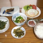日本列島縦断走り旅2007年