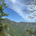 山