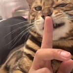 NIRVANAWAVE～波動で遊ぶブログ