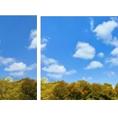 ５月の全体運　２０２６年