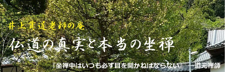 坐禅の仕方と悟り,見性,身心脱落：井上貫道老師の庵 まとめサイト イメージ画像