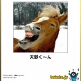 【画像スレ】思わず保存した「最高の画像」「笑った画像」貼っていけｗｗｗｗｗ