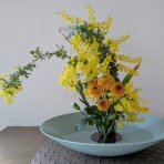 笑ってランラン整体師はやめられない