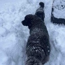 えらい事になりました。。