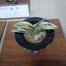 2024年　全国大会から（35）