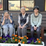 زֻ🌼٤β