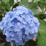 『◆【スケジュール情報】:6月分のご予約を受け付けております。お早めにどうぞ!』の画像