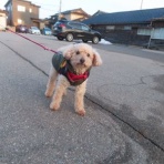 churahamaのブログ