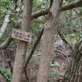 夏山低山が始まる前に。　――　二上山