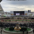 秋華賞2025　予想見解