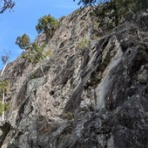 Ore,山さいくっ！