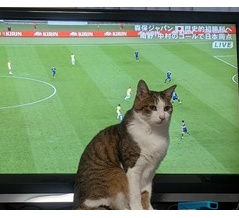 VZシャーシ・バックスライドアンカー②完全新規リアアンカー