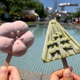 『【スイーツ情報】40℃でも溶けない(!？)アイスを食べました😋』の画像