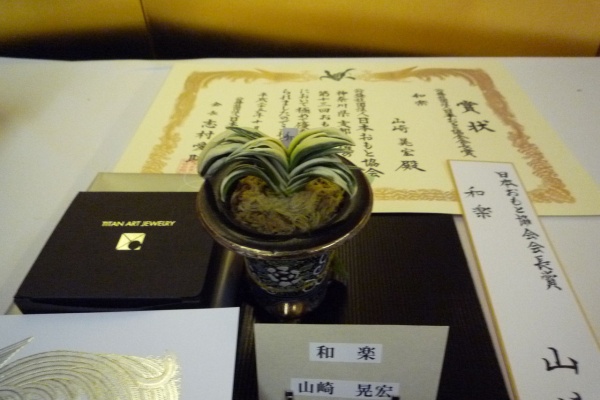 万年青 神奈川県支部の有志 - 2013年10月