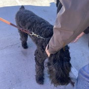 義兄が救急車で