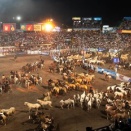 ミレイ大統領、ヘスス・マリアの舞台へ