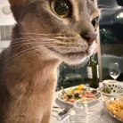 ポパイスパゲティーとスタミナサラダの夜ごはん