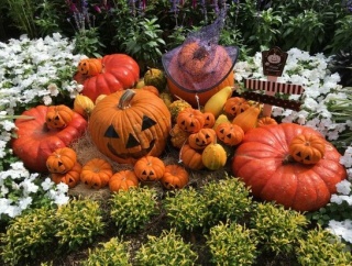 【悲報】ハロウィンの市場規模が縮小