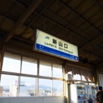 よぼよぼのラッコの最期（夜をこえて）