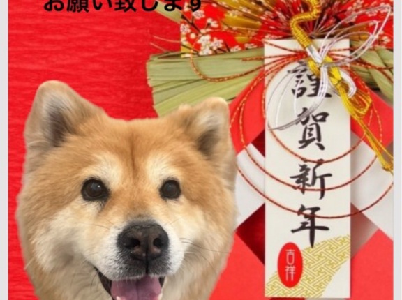 元旦の朝から皆様本当に有り難う御座います🙏❤️🙇‍♀️