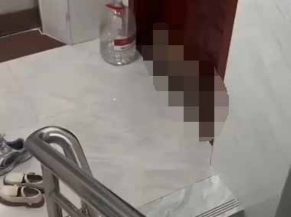 ネコはそんな所で何をしているの？ 今夜はここで寝るしかない → 近所の猫さんはこんな様子です…