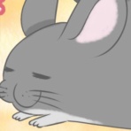 毎日全身タイツ日和