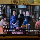 風はただ知っている