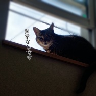 イチゴ狩りに行ってきた。と、水色の水面石つくりました。