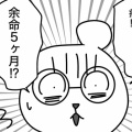 猫の余命宣告⑧夫、13年（前編）