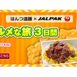 ء罸JALPAKϤıƣȹԤҤ̳ƻι٤β