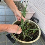 NPO法人はんどいんはんど東総のBLOG