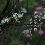 軽井沢で短歌と写真と・・・