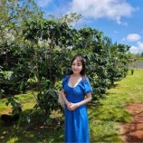 『コーヒー農園へ』の画像