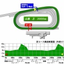 菊花賞2025の予想！！【京都競馬芝3000m GⅠ】
