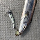 『最近のうごめき…』の画像