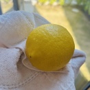 ３回目の結婚記念日はレモンムースと近江牛ステーキで☆