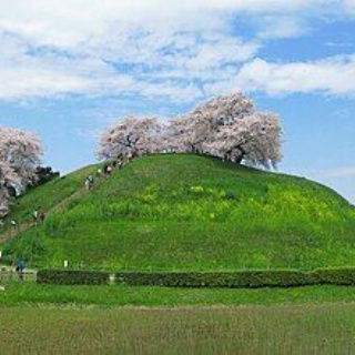 日々の気づき
