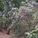 姫路山岳会ブログ