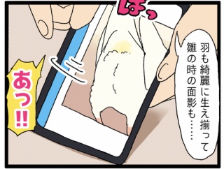 鳥さんのおちりの写真、撮るよね🍑